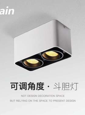led双头方形明装射灯cob可调节防眩智能筒灯客厅家用免开孔斗胆灯