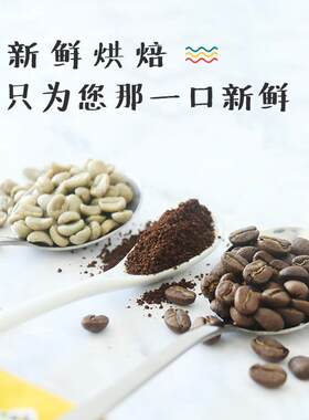 豆豆肥黑咖啡商用新鲜烘焙可磨粉无添加哥斯达黎加咖啡豆227g