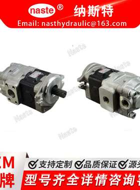 叉车配件液压泵和齿轮泵TDPY-365F2H1-R064D/TCMZ85-7T