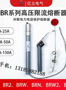 并联电力电容高压熔断器BRW BRN-10-12KV/20A24A25A30A32A33A34A
