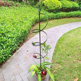 户外铁艺爬藤架花园艺支柱架阳台绿萝月季铁线莲攀爬盆栽固定支架