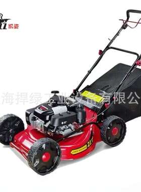 凯姿（KAZZ）KZ216SH自走式GXV160动力割草机21寸汽油机草坪机