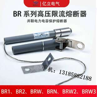 BRN BR8W-20高压熔断器BRW-20/15A16A20A25A30A31A32A40A45A50A