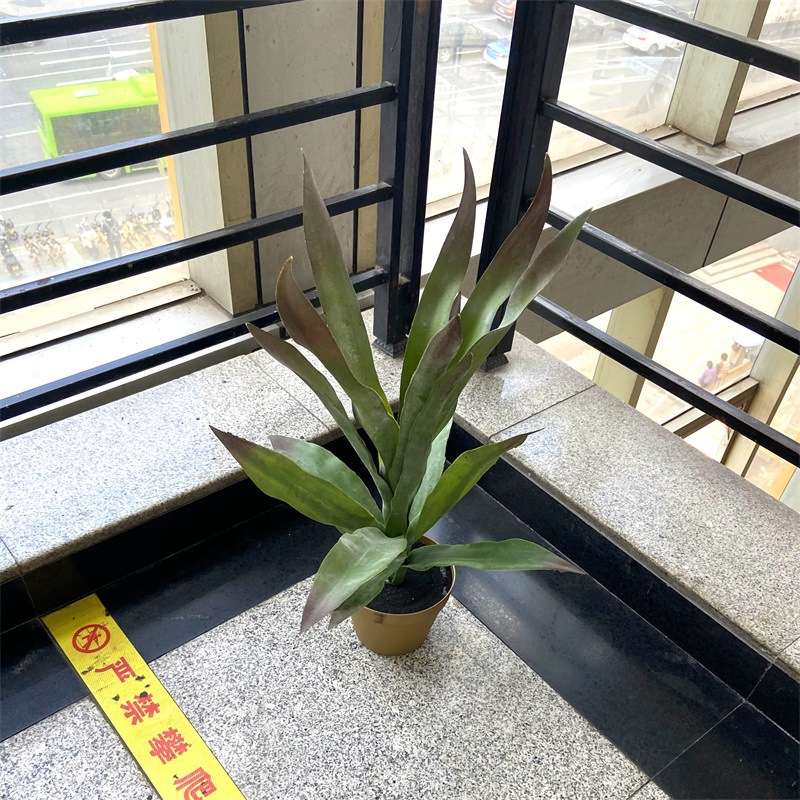 北欧仿真盆栽多肉类植物龙舌兰铁景观酒店软装民宿装饰叶盆景摆件