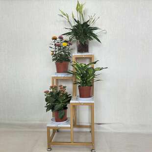 北欧多层铁艺花架 简约家用盆栽收纳置物架吊篮绿萝多肉花盆架子