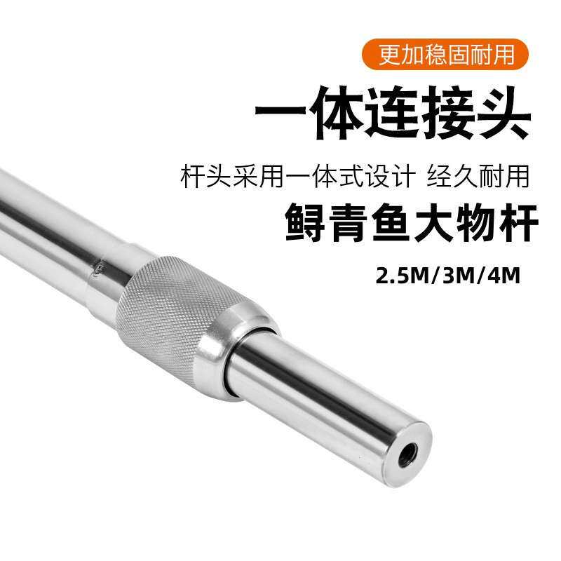 不锈钢大物3米4米裸竿加厚鲟青鱼加硬伸缩杆家用逮鸡鸭实心抄网杆
