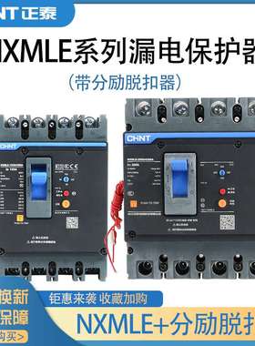 NXMLE系列剩余电流动作断路器
