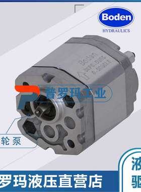 博顿Boden齿轮泵BKP1B0-D-3.2/3.7/4.2/4.8/5.8/7.0/8.0 液压油泵
