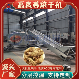 网带小良姜烘干设备 风姜高凉姜清洗切片烘干生产线 高良姜烘干机