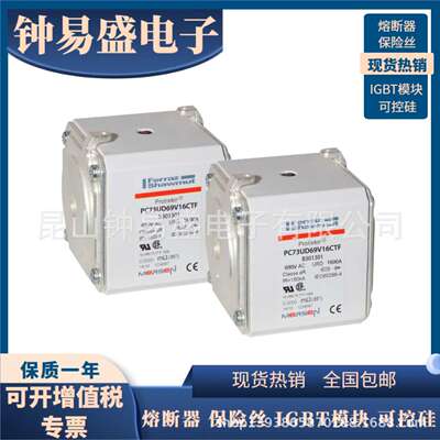 A070UD73TTI1600 Q300877法国罗兰美尔森熔断器A065UD73TTI1800