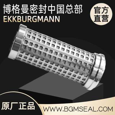 Magnetic filter磁性过滤器MAF2000及滤芯滤网 MAF203/G1/2-00