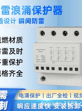 飞纳得P23B100/420防雷电涌保护器 4P电源一级二级防避雷器2P家用