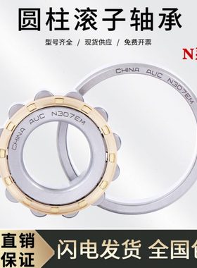 圆柱滚子轴承N304 N305 N306 307 308 309 310 311 312 313 314EM