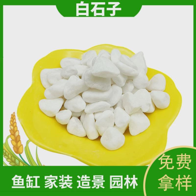 厂家供应庭院造景铺面水洗机制白石子水族装饰抛光白鹅.卵石白石