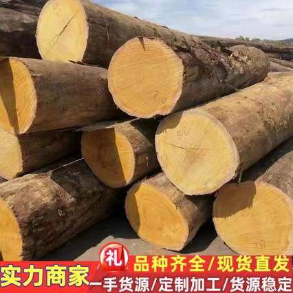 黄硬木黄胆木 原木木棒 加工黄胆木棺木 黄硬木防腐木 黄乳木木棒