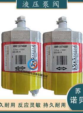 意大利维沃尔VIVOLO齿轮泵X0R1307ABBF液压油泵双向泵X0R1307BBBE