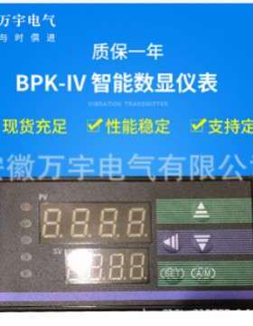 BPK-1V 多功能电力仪表 调节仪 横式