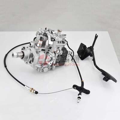 22100-5D180改装泵总成096500-3081VE4/10E2300RND308