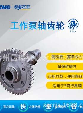 徐工装载机2BS315.30-5A工作泵轴齿轮272200747 RZ 配件860165322