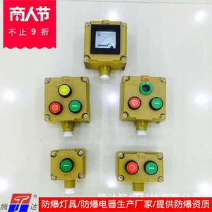 腾达la53-T防爆控制开关按钮 带灯带表按钮 厂家优工业特种