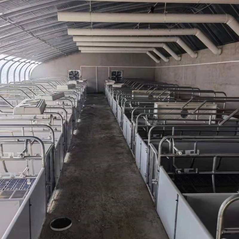 养猪场母猪产床单体双休连排欧式产床分娩床产仔箱