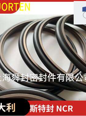 FLUORTEN斯特封  轴用NCR STD OD BSJ RS PTFE密封圈