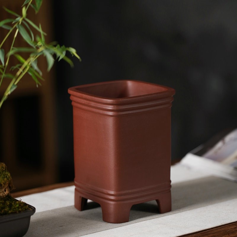 雅奢 素面高脚四方签筒 春兰翠盖 绿云盆 悬崖小桩Y盆景紫砂盆