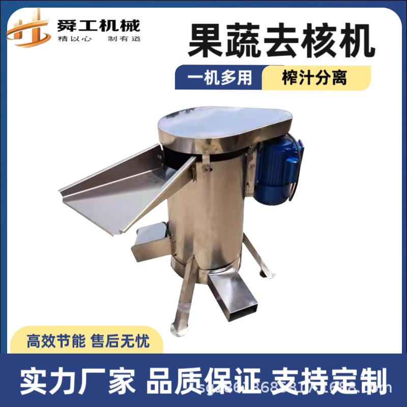 全自动果肉挖核机 桂圆荔枝龙眼打浆脱核机 吨级水果粉碎去核机