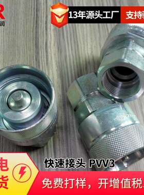 供应意大利DNP快速接头 PVV3
