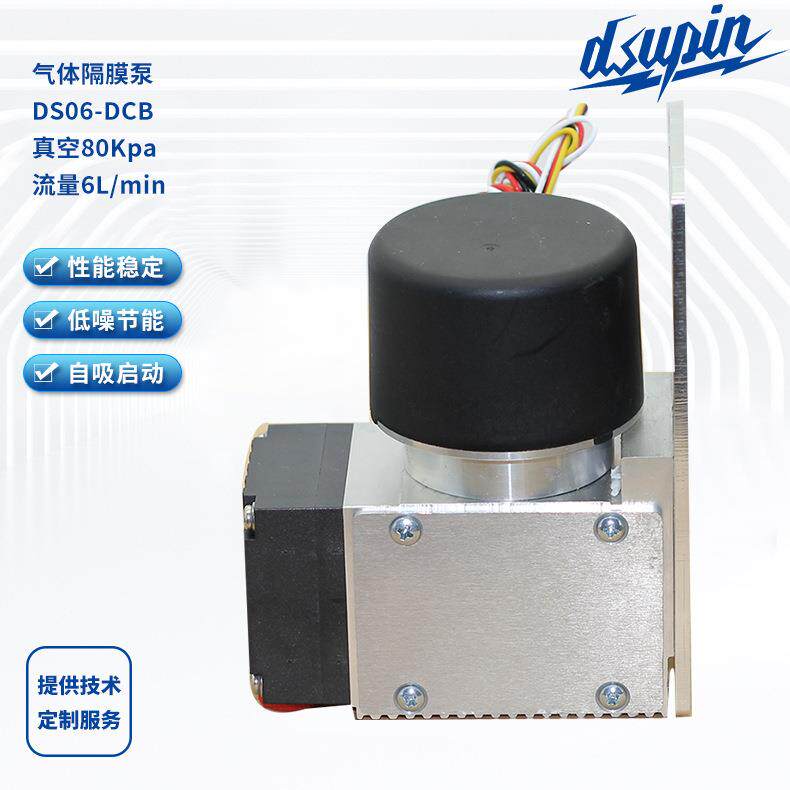 气体隔膜泵 DS06 DCB无刷隔膜微型真空泵12V/24V气体采样泵供应