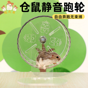 仓鼠静音跑轮防滑不卡脚小宠玩具全透明侏儒鼠金丝熊用品跑步机