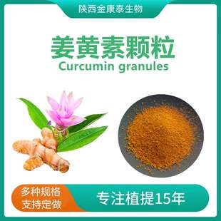 姜黄素颗粒95%姜黄素USP姜黄提取物20-40目Curcumin姜黄颗粒100克