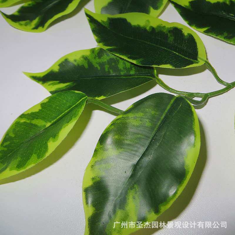 仿真榕树叶榕树枝 大型仿真树假树枝装饰仿真植物 仿真双色榕树叶