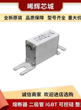 170M1317 170M5610压快速熔断器库存充足 型号齐全量大从优现货
