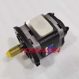 3.5 6.3 101 101齿轮泵 IPVP3 德国VOITH福伊特IPVP3