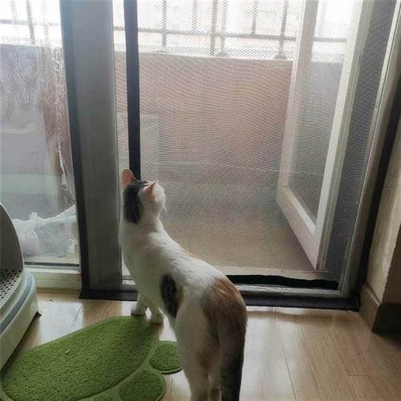 防猫网门防猫进卧室门帘防猫外出宠物防L逃门栏纱门纱帘防蚊门帘