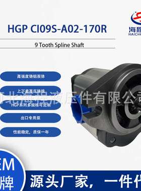 HGP CI09S-A02-170R 液压泵 出口专用 9 Tooth Spline Shaft
