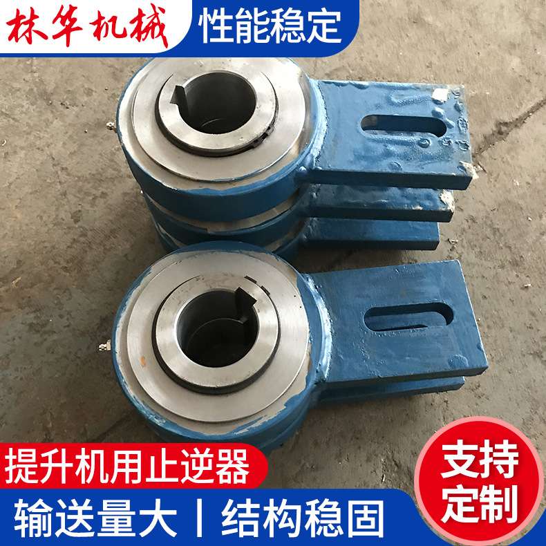 厂家 止逆器 逆止器 提升机用止逆装置 性能稳定斗式提升机用