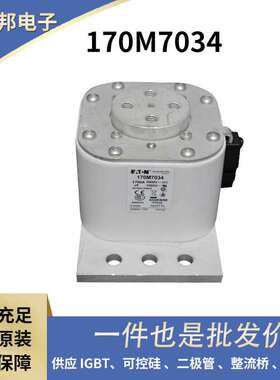 170M6965 170M6966 170M6967 170M6968原装高压熔断器  保险丝