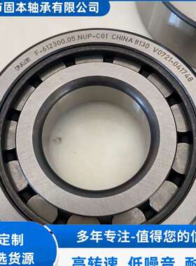 F-612300.05.NUP圆柱滚子轴承  非标轴承