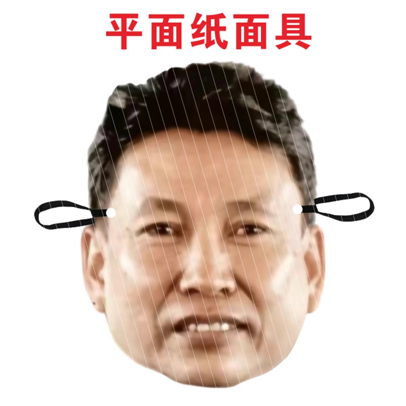 卡纸面具易容结婚道具卡纸面E具易容假人卡纸平面面具