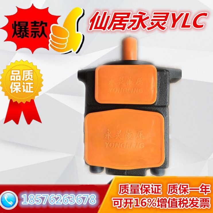 LP-R仙 Y-叶片泵25FV2-F1P-1FR1液压R3P111油泵 1居永灵V2 V228 C