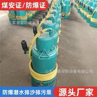 防爆37KW BQS矿用隔爆型潜水排沙电泵 BQS30 1140V 150