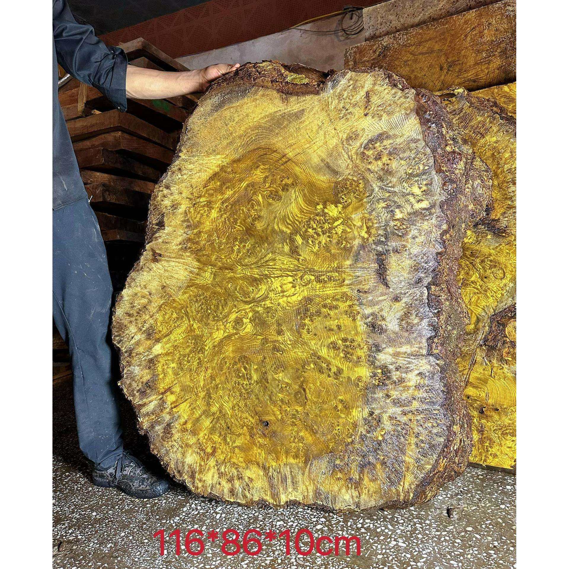 金丝楠木满树瘤料 家具料茶盘料满金丝桌面料凳面料原木金丝楠板