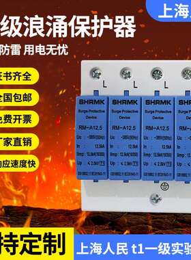 上海人民T1浪涌保护器10/350US避雷防雷器12.5KA15KA25KA电涌