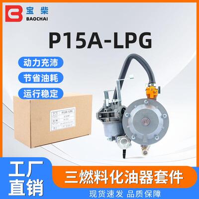 P15A-LPG三燃料化油器套件 GT241 154F 156F 发电机零件