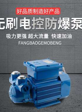 12V 600W自吸防爆泵电动抽油泵12v24v220v汽油泵油罐车卸油加油泵