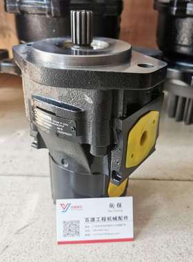 KP30.24-A8K9-LMD/MB-45-HSC/PLP齿轮泵 意大利原装CASAPPA卡斯帕