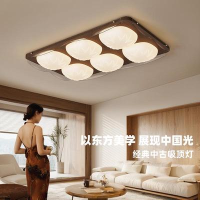 法式中古风客厅吸顶灯2025新款高端设计师款大厅主灯全屋灯具套餐