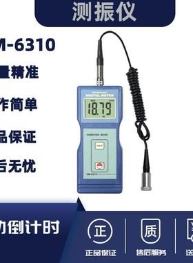 兰泰测振仪VM-6310振动仪 振动测量分析仪、测震仪VM6310